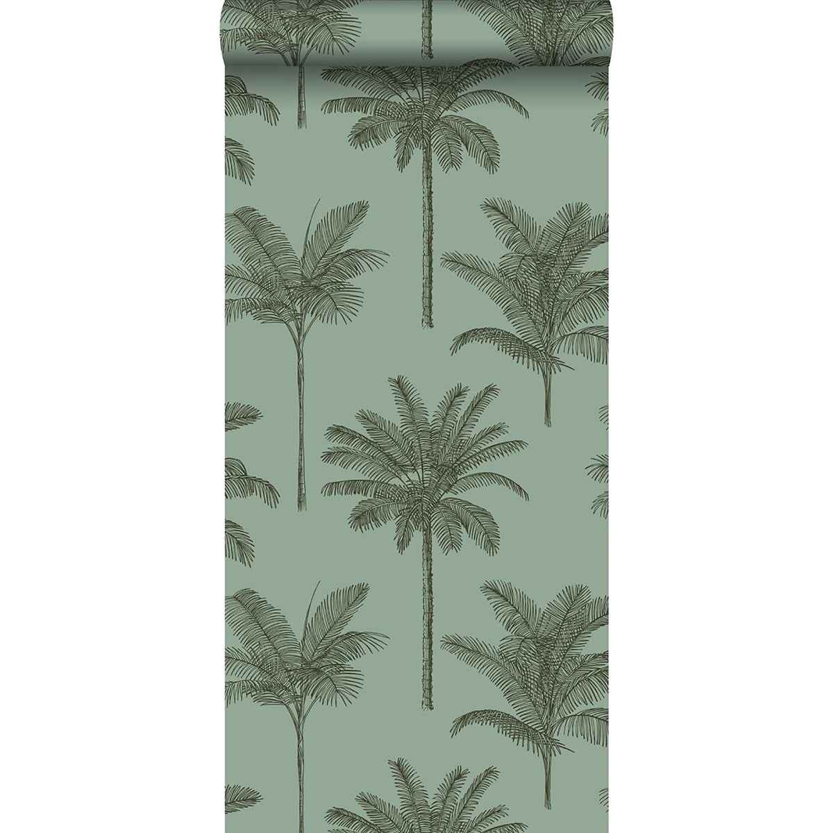 Taj Sage Palm Trees Wallpaper - York Wallcoverings - DD139165 - York Wallcoverings Wallpaper
