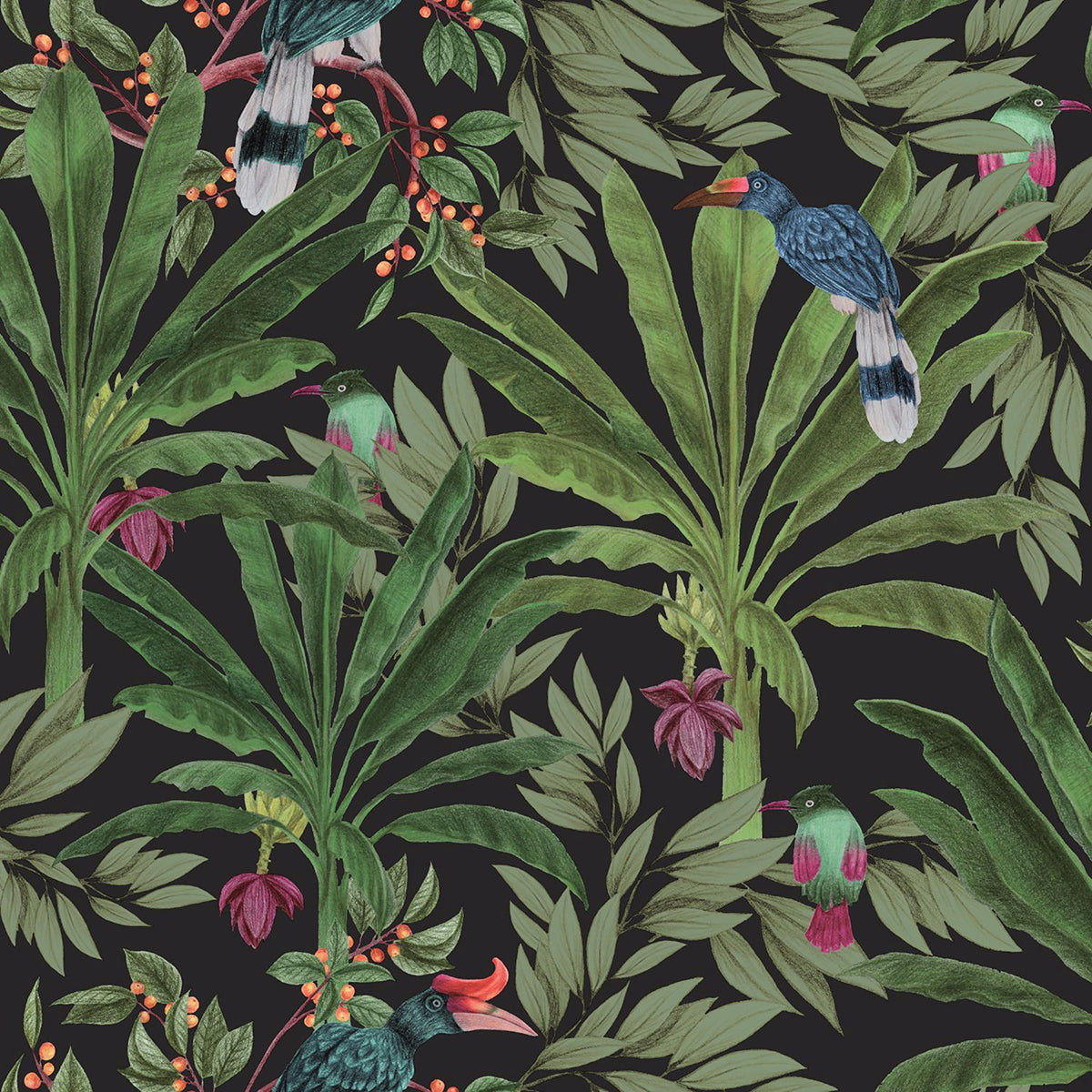 Brewster Wallcovering-Carola Black Jungle Tropics Wallpaper