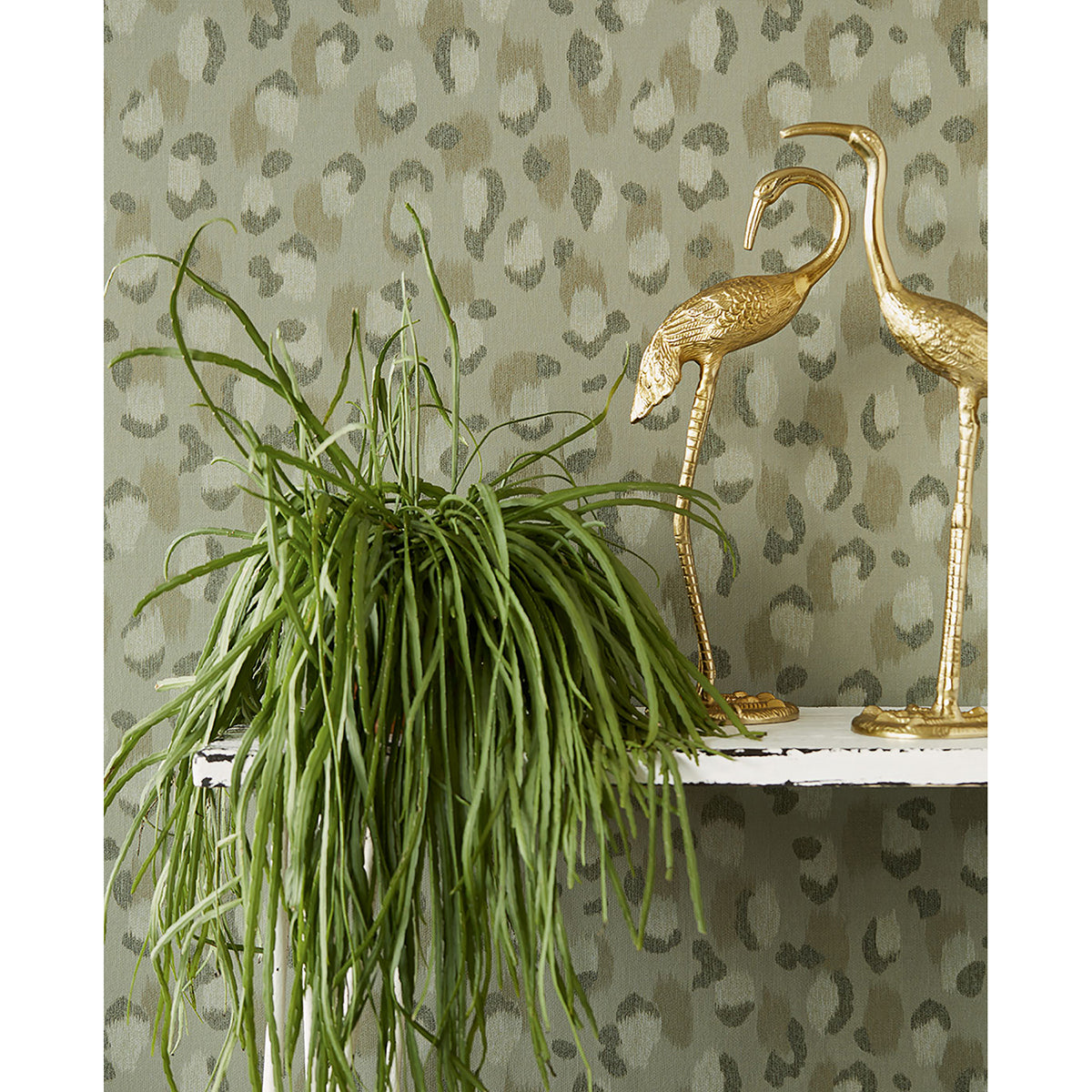 Javan Sage Leopard Wallpaper  | Brewster Wallcovering - The WorkRm