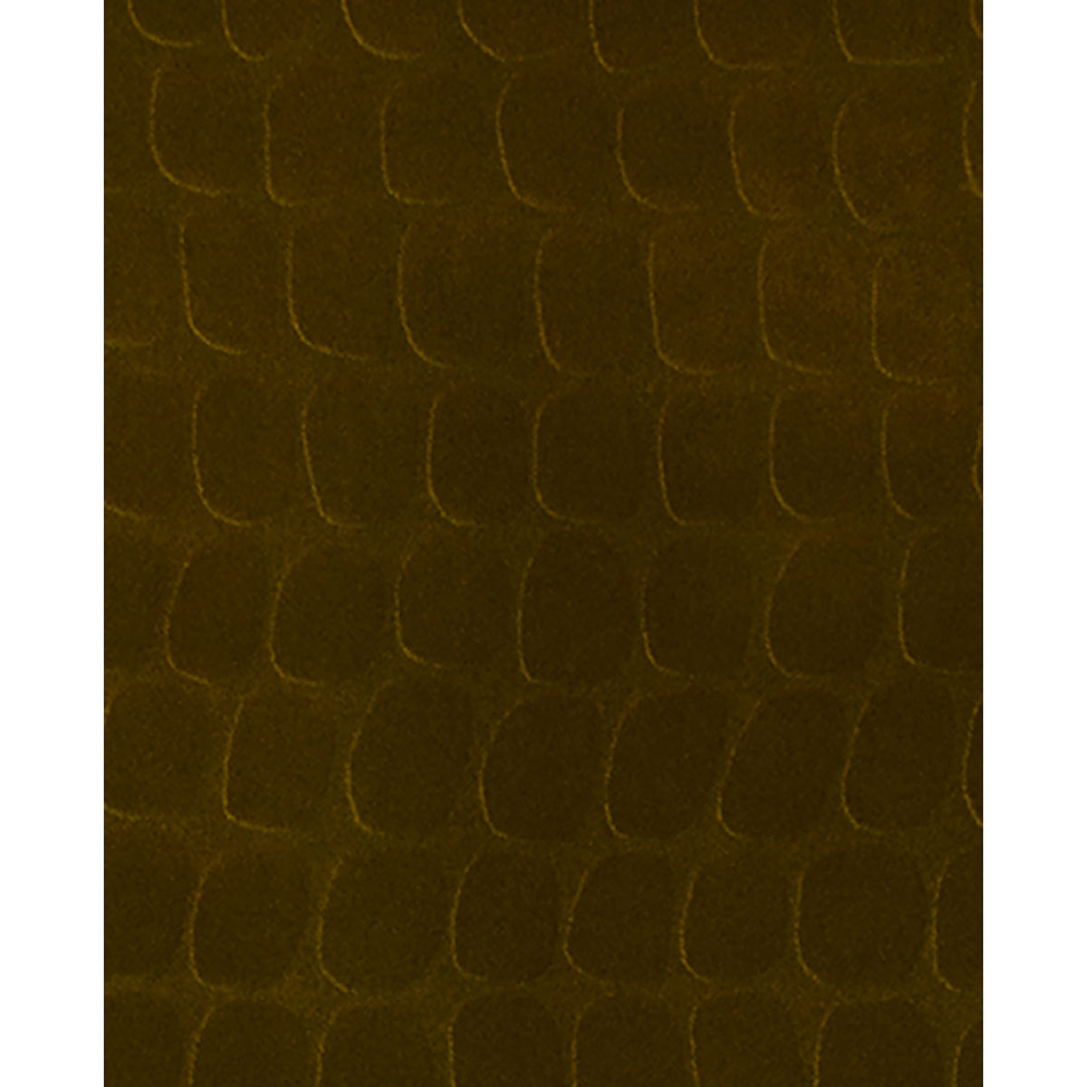 Picture of Hyde Coffee Graphic Croc Flock Wallpaper