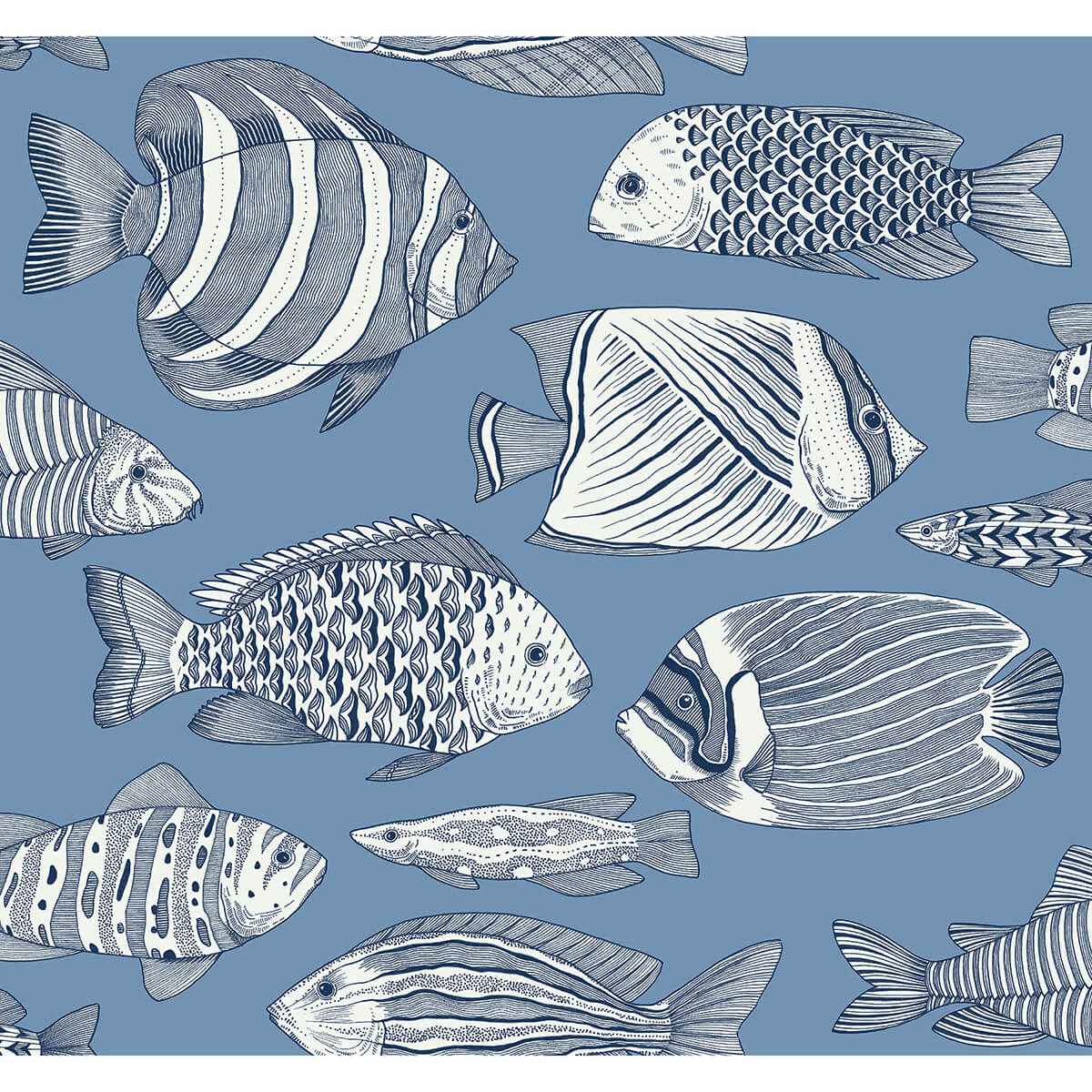 Wailea Sky Blue Tropical School Wallpaper - York Wallcoverings - 2927-80212