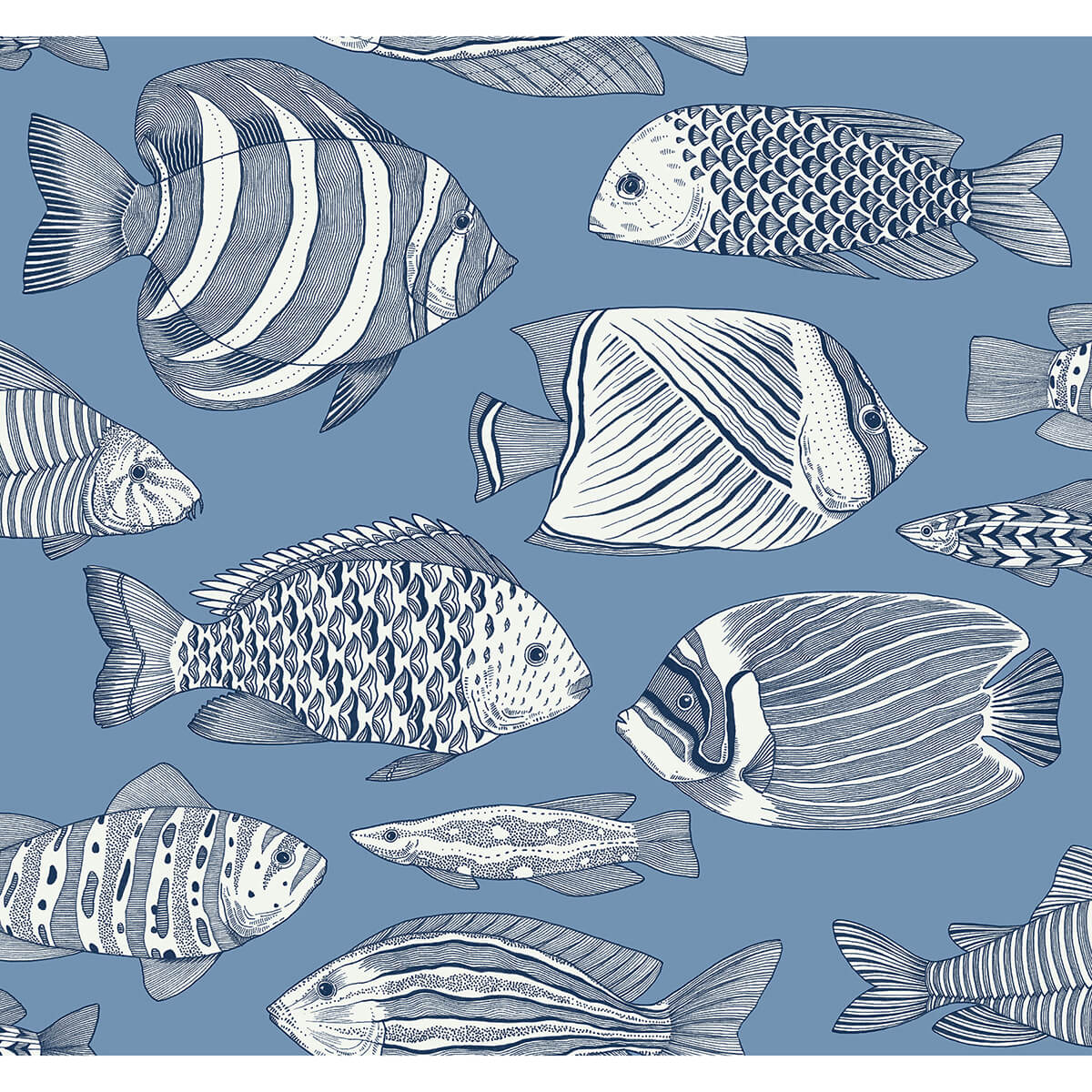 Wailea Sky Blue Tropical School Wallpaper - York Wallcoverings - 2927-80212 - York Wallcoverings Wallpaper