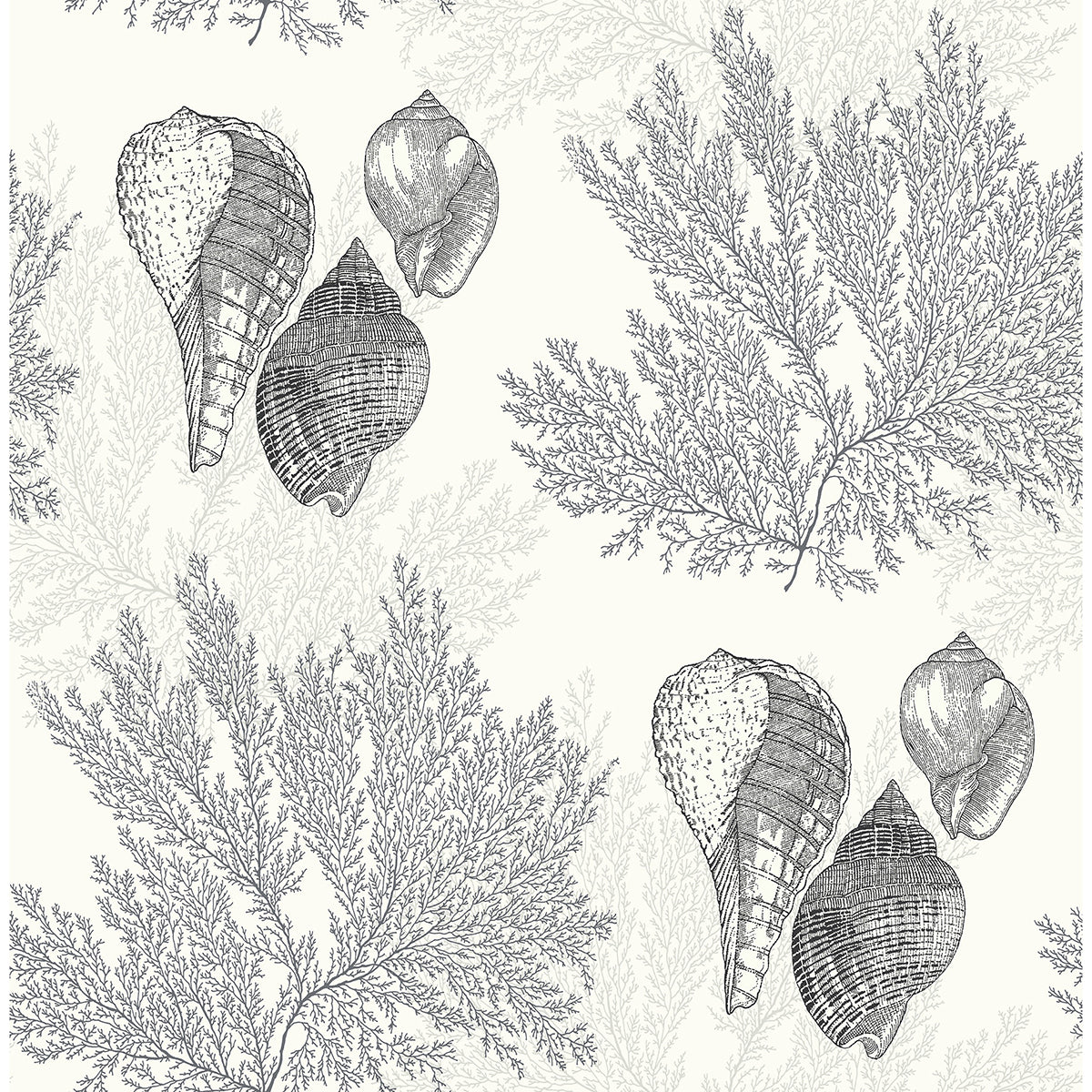 Picture of Nauset Black Seashell Shores Wallpaper