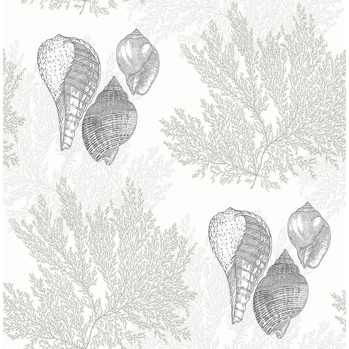 Picture of Nauset Cream Seashell Shores Wallpaper