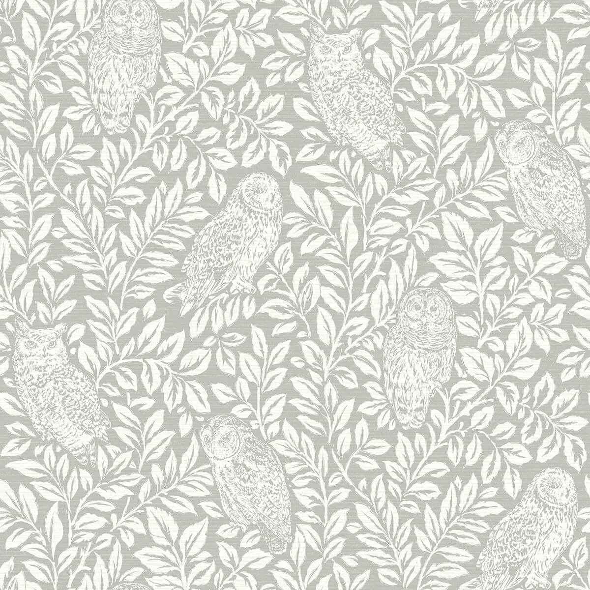 Parliament Grey Owl Wallpaper - York Wallcoverings - 3123-12411