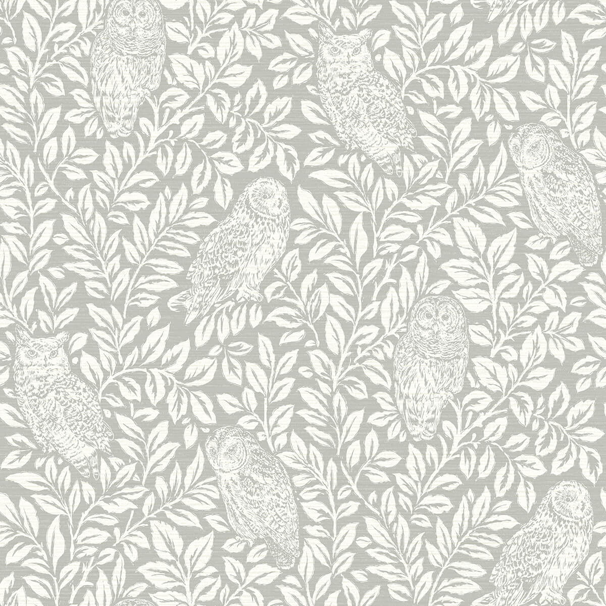 parliament-grey-owl-wallpaper-york-wallcoverings-3123-12411