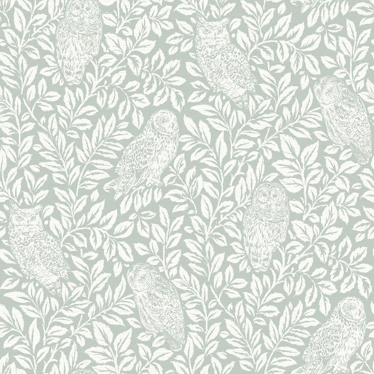 parliament-seafoam-owl-wallpaper-york-wallcoverings-3123-12414 - York Wallcoverings Papel pintado