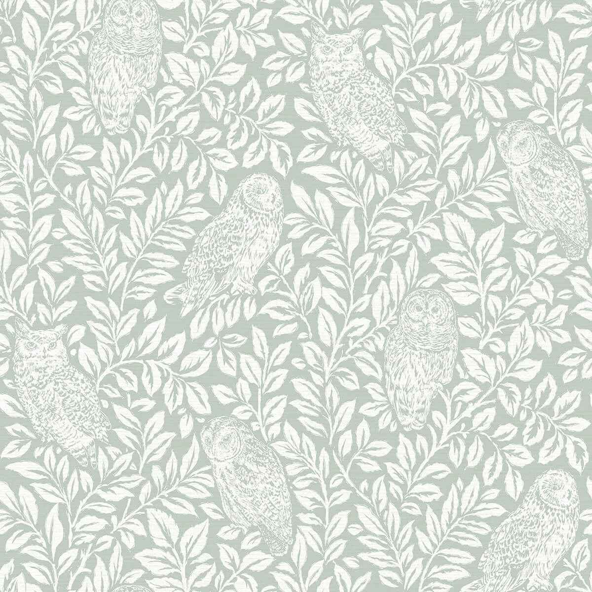 Parliament Seafoam Owl Wallpaper - York Wallcoverings - 3123-12414 - York Wallcoverings Wallpaper