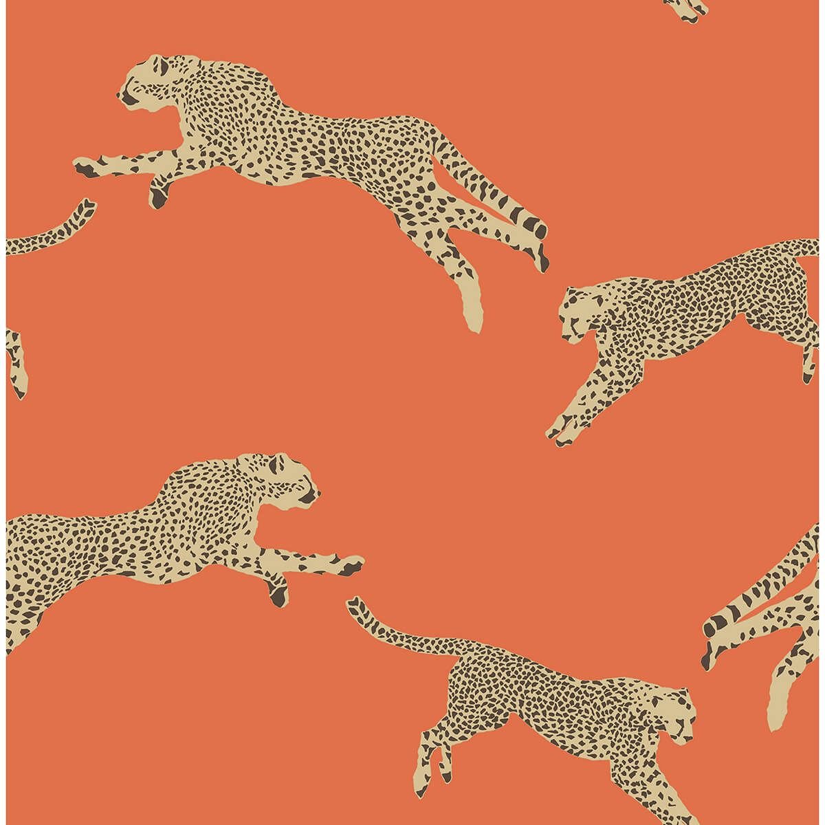 Clementine Leaping Cheetah Peel & Stick - York Wallcoverings - SCS4275