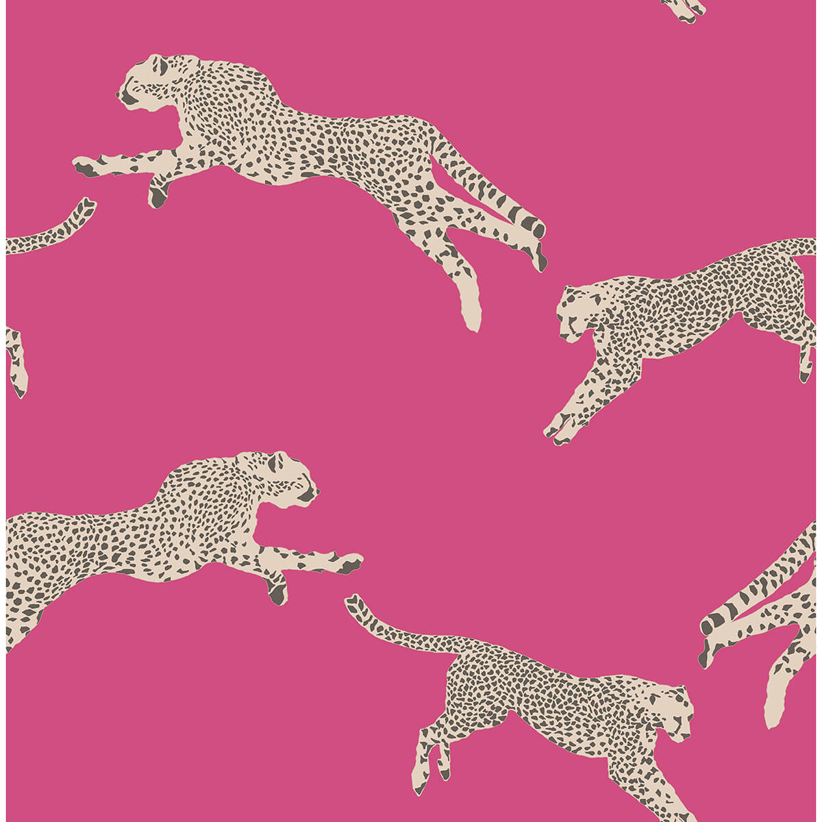 Bubblegum Leaping Cheetah Peel and Stick Wallpaper - York Wallcoverings - SCS4276 - York Wallcoverings Wallpaper
