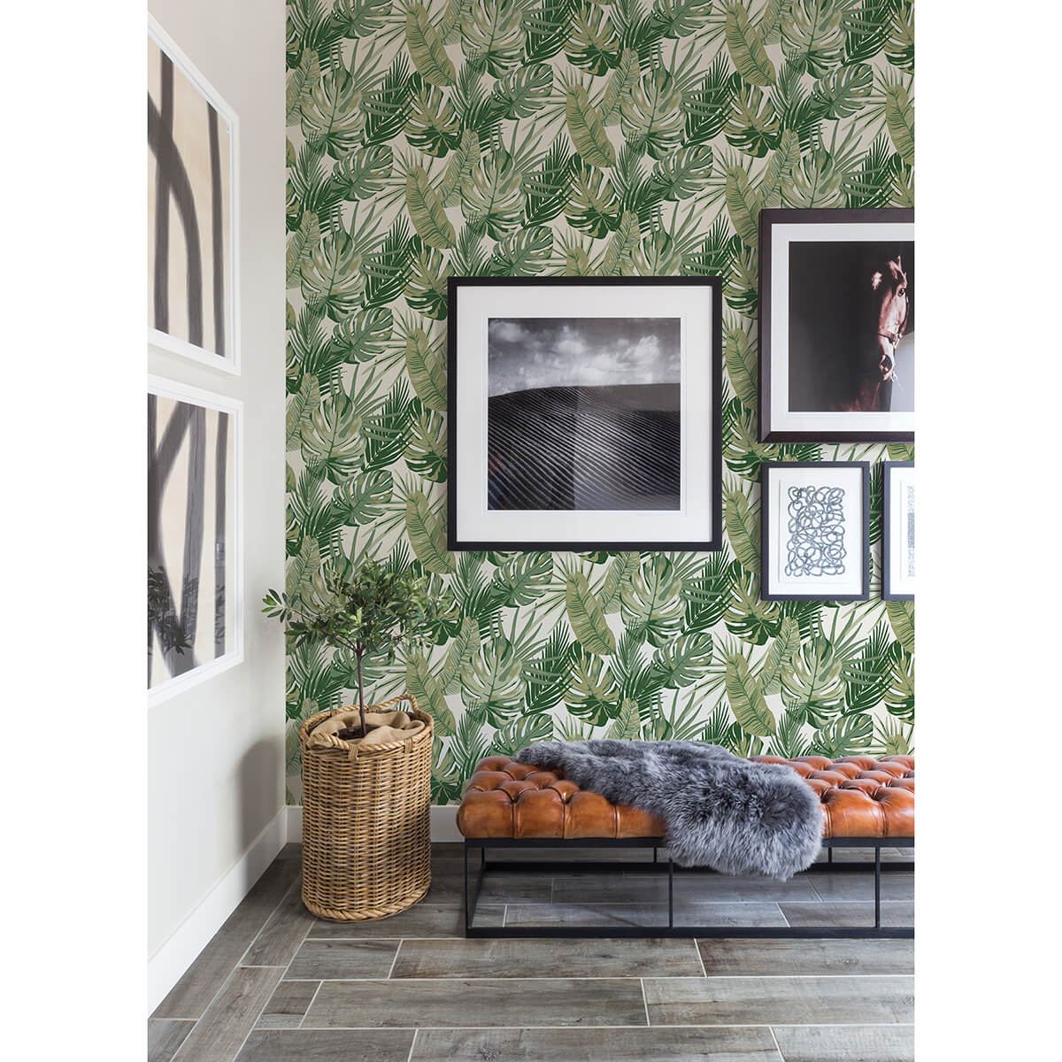 Green Palmero Peel & Stick Wallpaper - York Wallcoverings - RZS4520 - York Wallcoverings Wallpaper