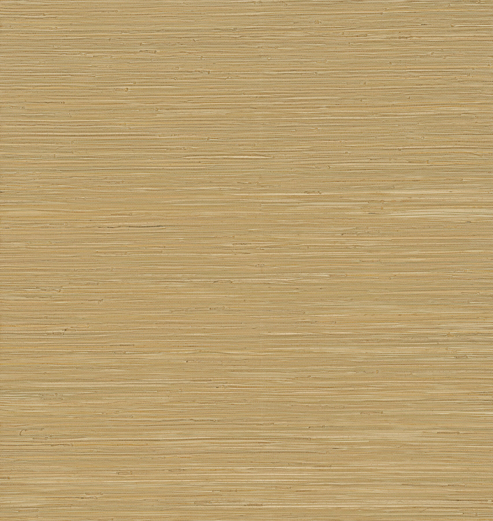 Zhilan Olive Grasscloth Wallpaper - York Wallcoverings - 2923-88045 - York Wallcoverings Wallpaper