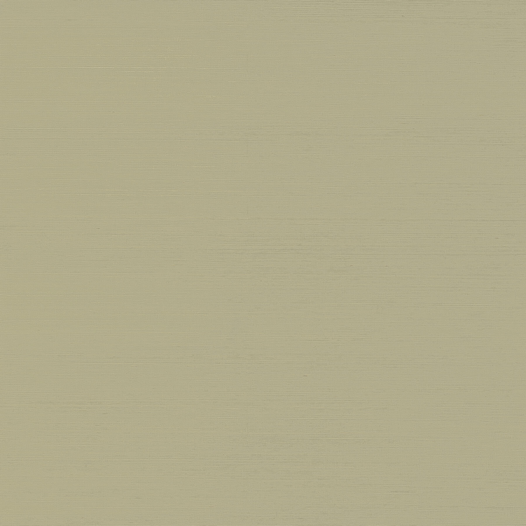 Yunri Sage Sisal Grasscloth Wallpaper - York Wallcoverings - 2923-88050 - York Wallcoverings Wallpaper
