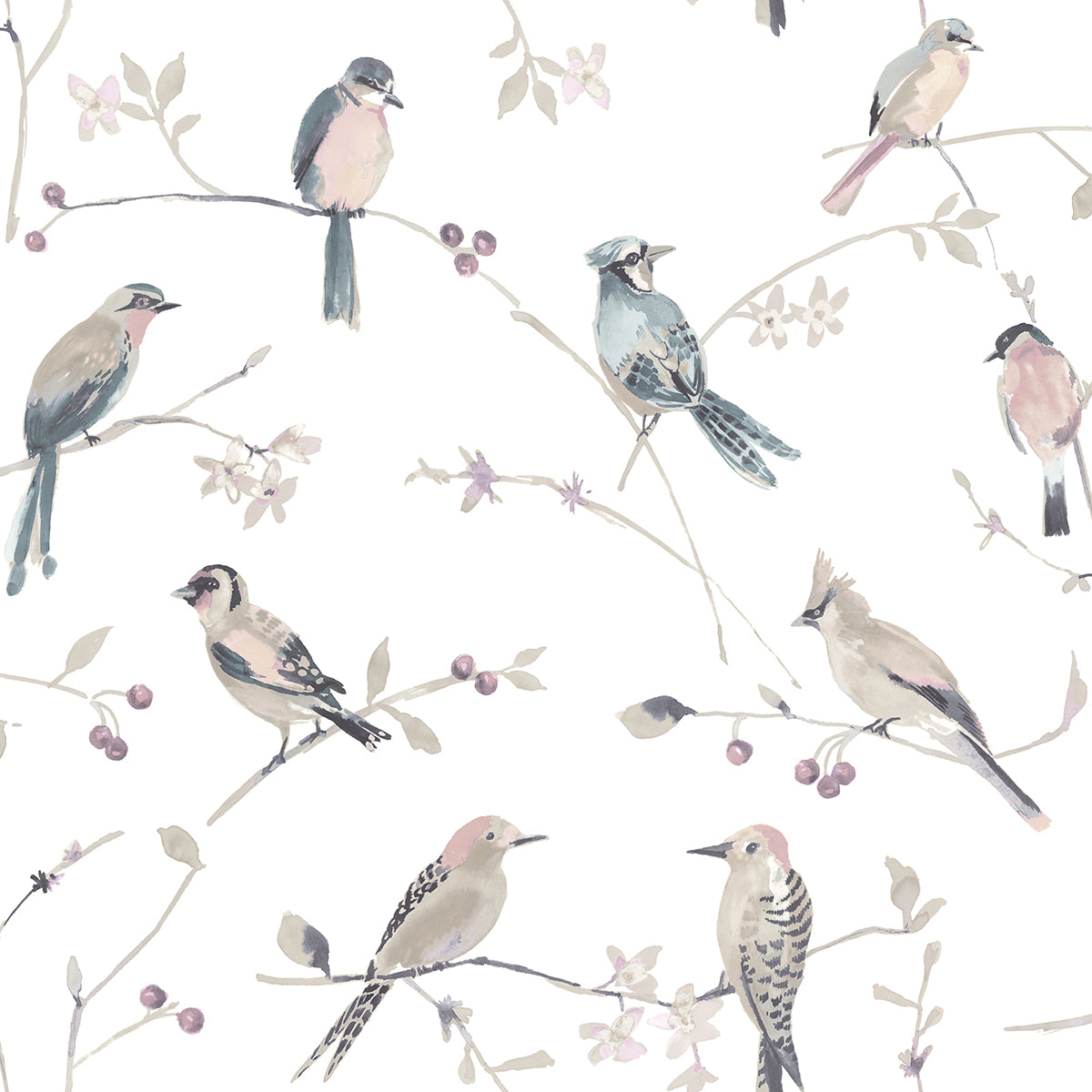 birdsong-mauve-trail-wallpaper-york-wallcoverings-3124-13854