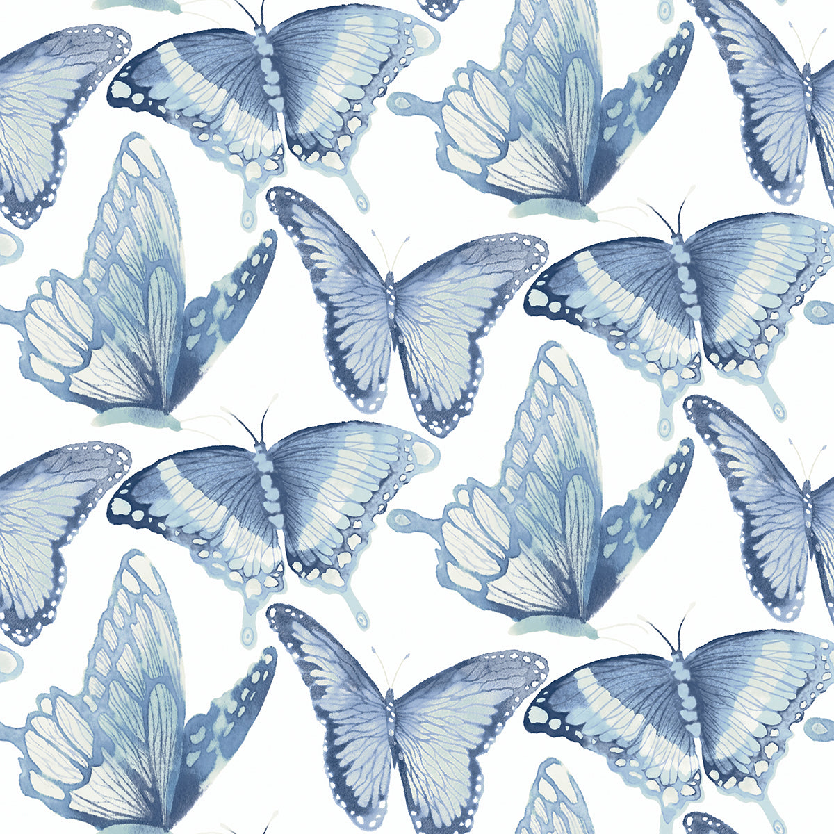 Picture of Janetta Blue Butterfly Wallpaper