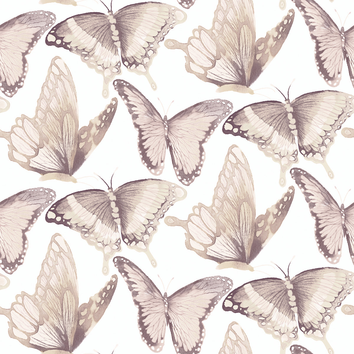 Picture of Janetta Blush Butterfly Wallpaper