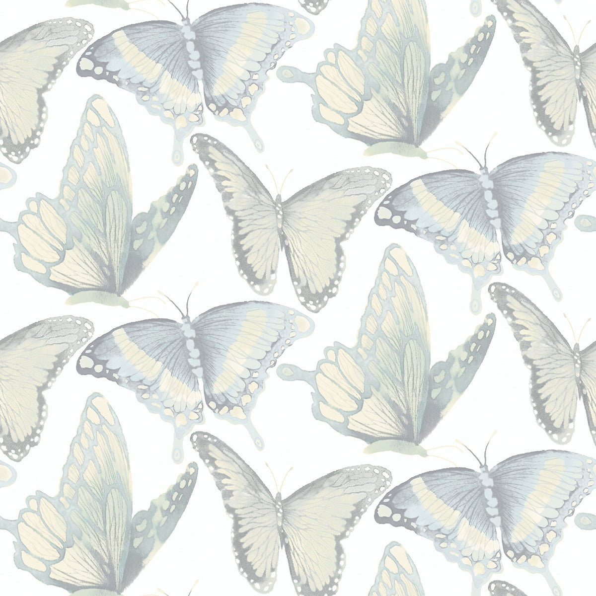 Picture of Janetta Mint Butterfly Wallpaper