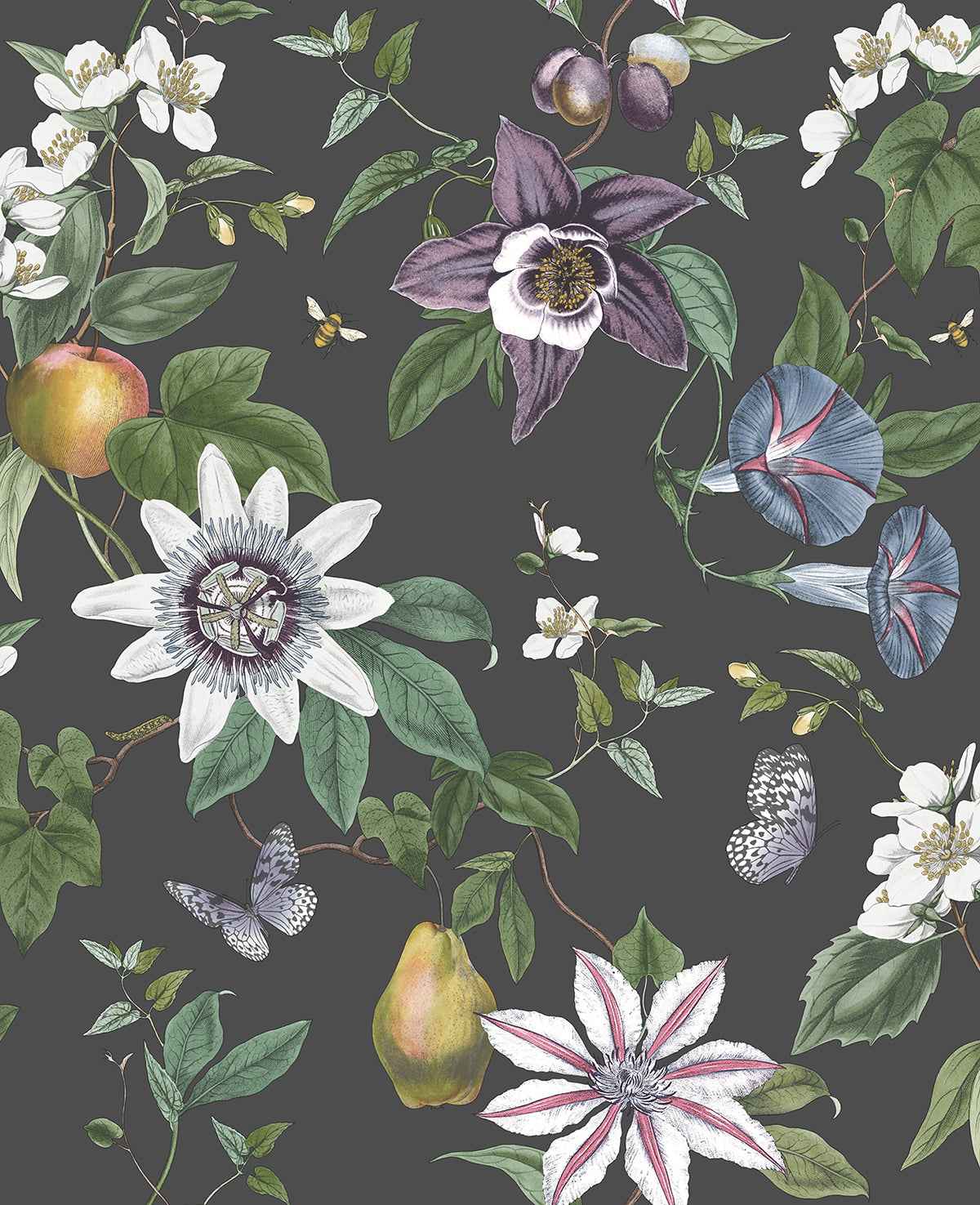 Sierra Black Floral Wallpaper - York Wallcoverings - FD43060