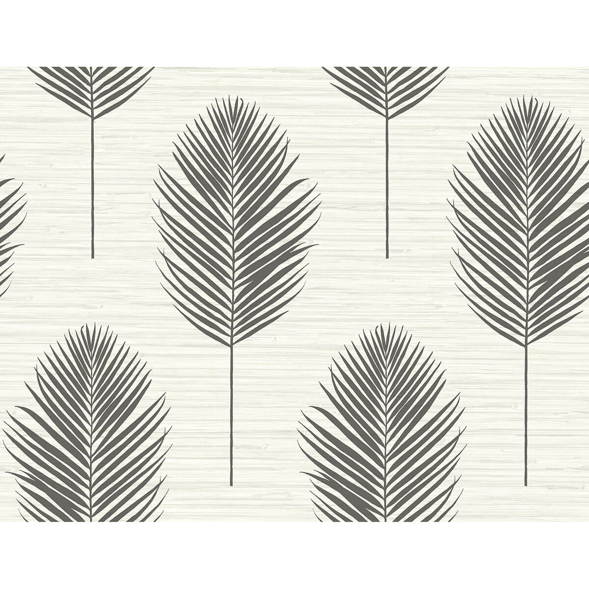 bali-black-fern-wallpaper-york-wallcoverings-2988-70210