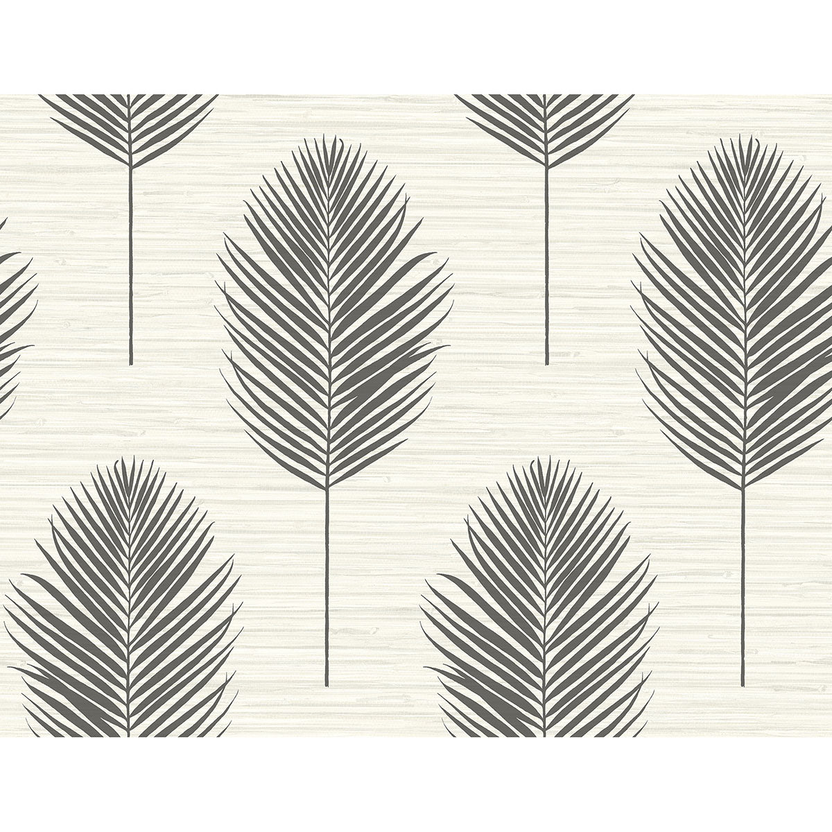 Picture of Bali Black Fern Wallpaper