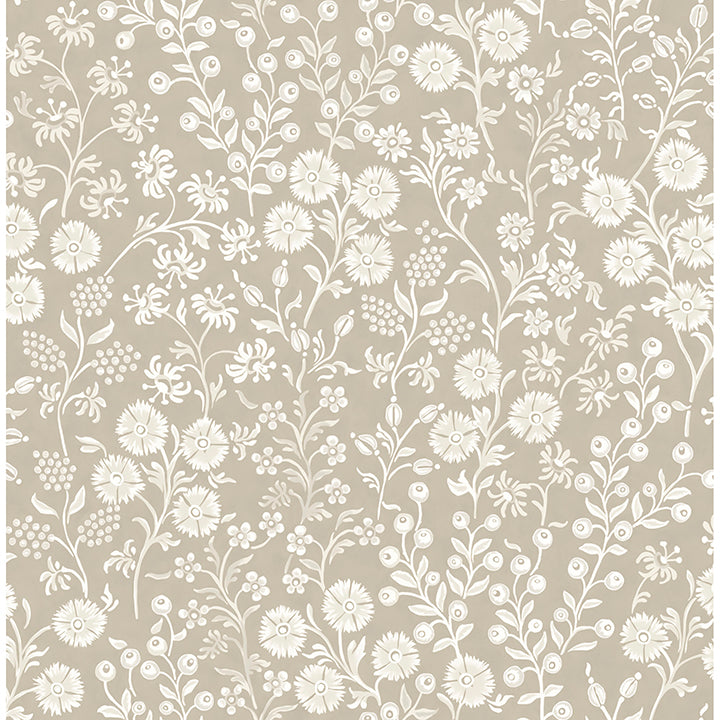 Brewster Wallcovering-Liana Taupe Trail Wallpaper