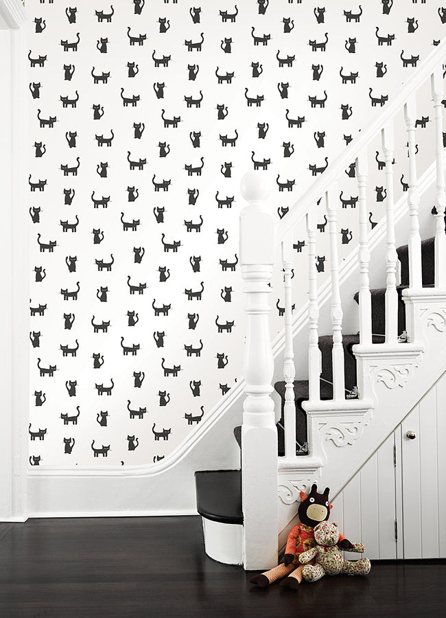 Delia Black Kitty Wallpaper - Brewster Wallcovering