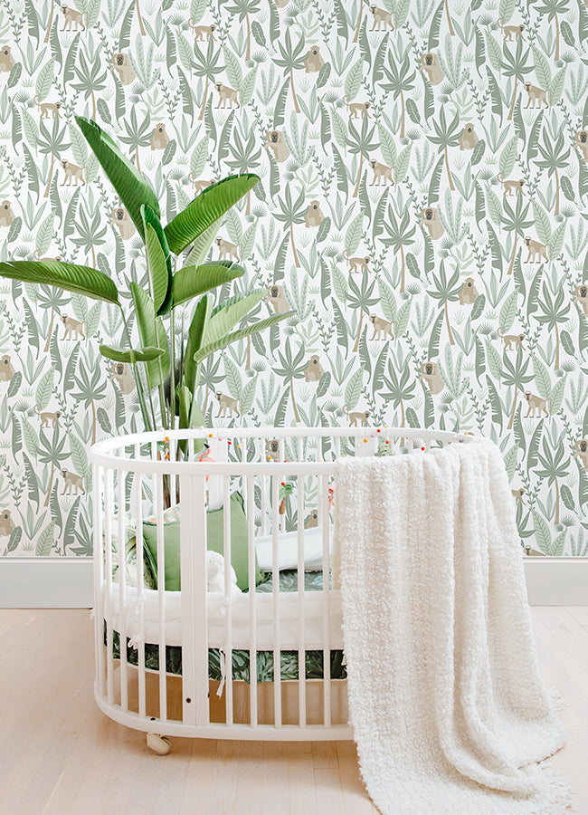 Kiki Light Green Monkeys Wallpaper  | Brewster Wallcovering - The WorkRm