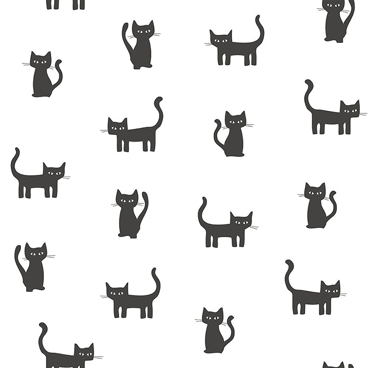 Picture of Delia Black Kitty Wallpaper