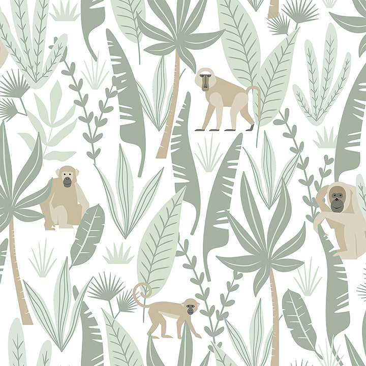 Picture of Kiki Light Green Monkeys Wallpaper