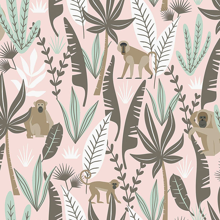 Picture of Kiki Pink Monkeys Wallpaper