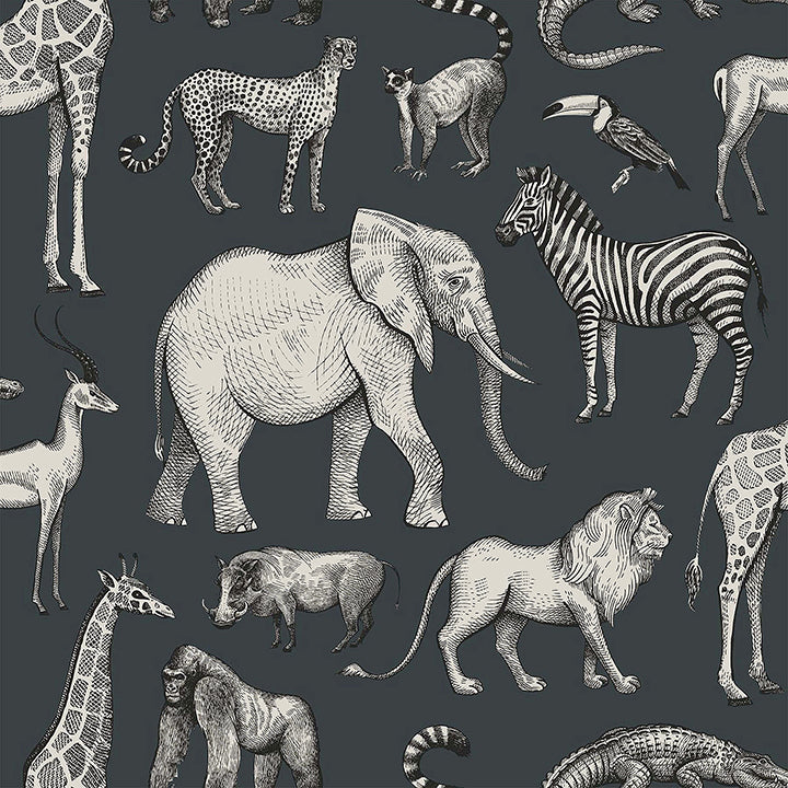 Picture of Kenji Navy Safari Wallpaper