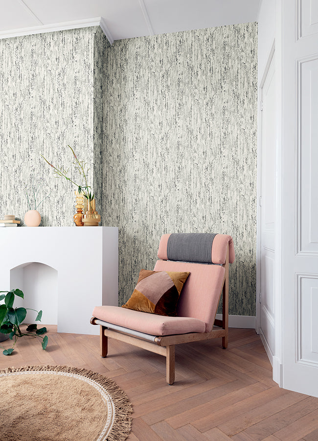 Colm Charcoal Birch Wallpaper - Brewster Wallcovering