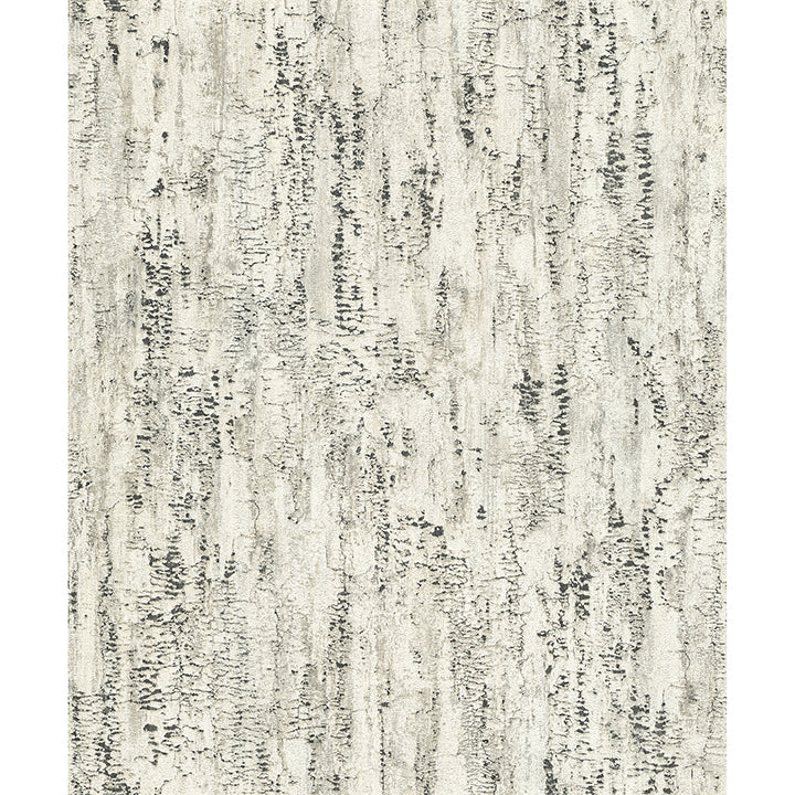 Picture of Colm Charcoal Birch Wallpaper