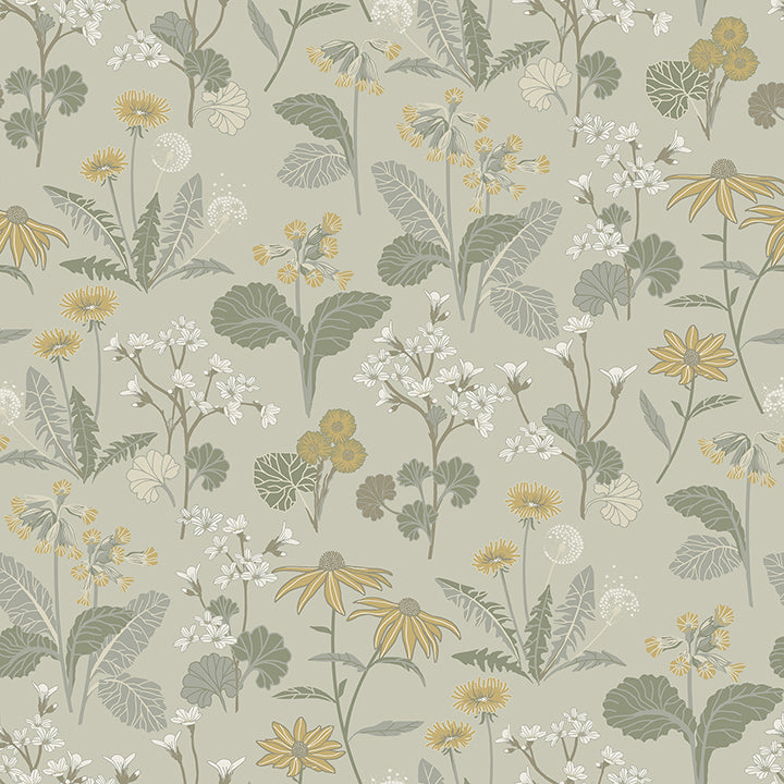 Picture of Magdalena Light Green Dandelion Wallpaper