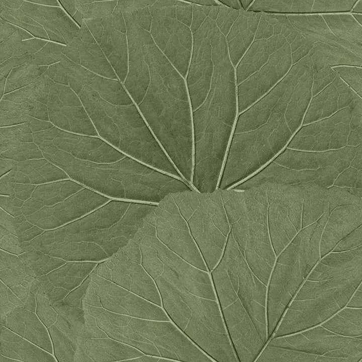 Xylem Olive Large Leaves Wallpaper - York Wallcoverings - DD138995 - York Wallcoverings Wallpaper