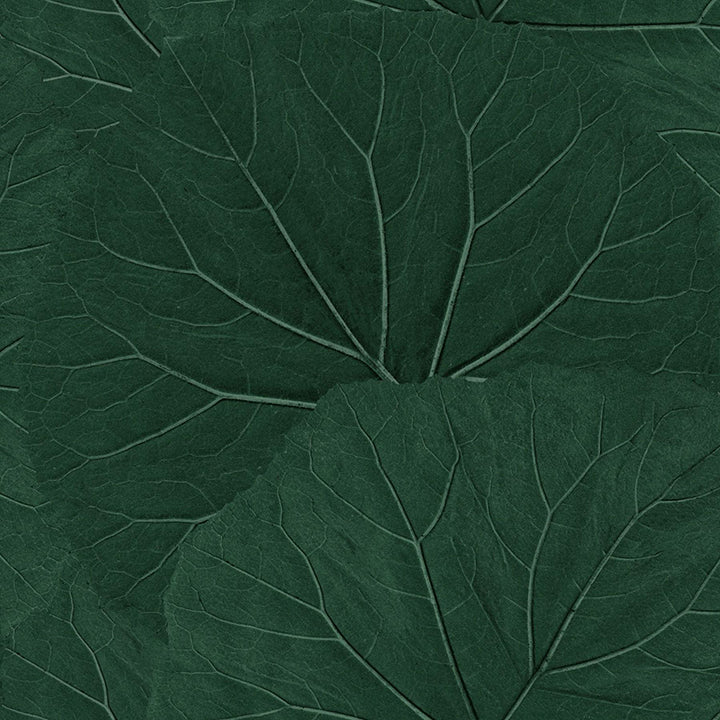 xylem-evergreen-large-leaves-wallpaper-york-wallcoverings-dd138997