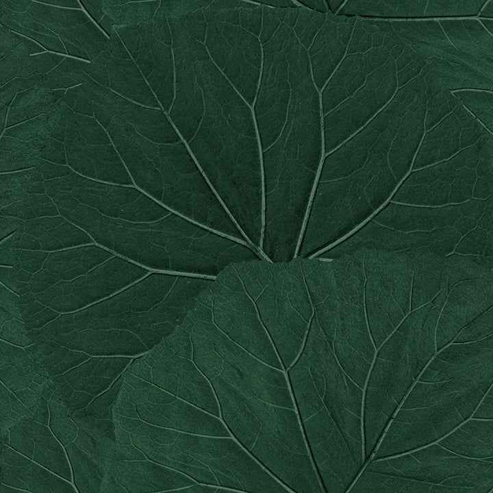 Xylem Evergreen Large Leaves Wallpaper - York Wallcoverings - DD138997 - York Wallcoverings Wallpaper