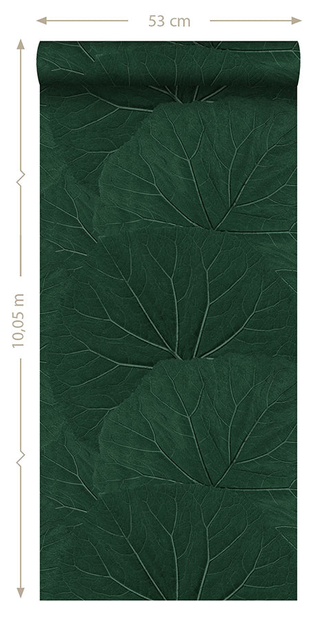 Xylem Evergreen Large Leaves Wallpaper  | Brewster Wallcovering - The WorkRm