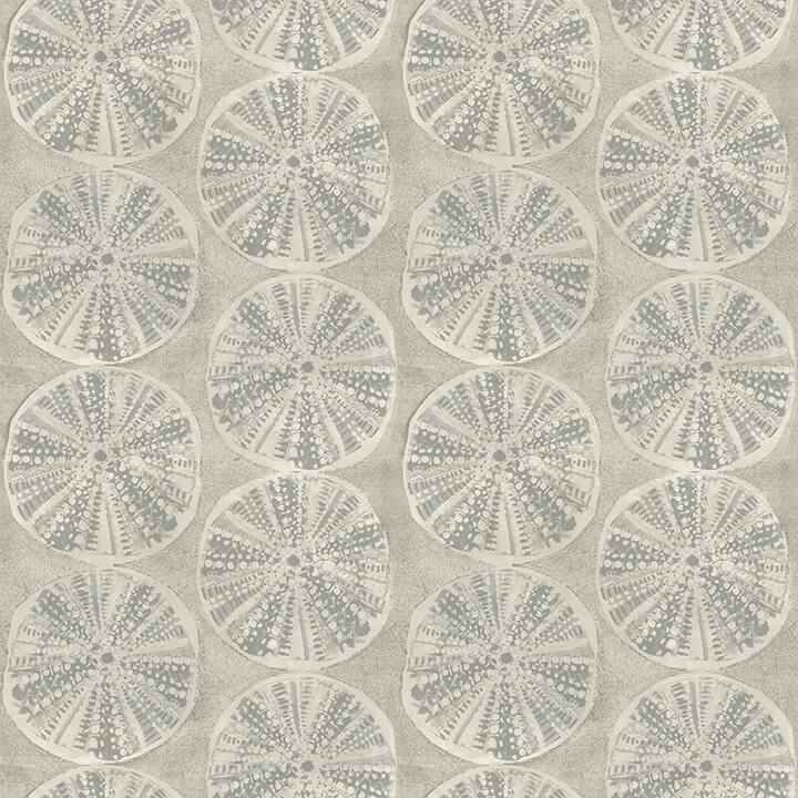 Sea Biscuit Grey Sand Dollar Wallpaper - York Wallcoverings - 4071-71024