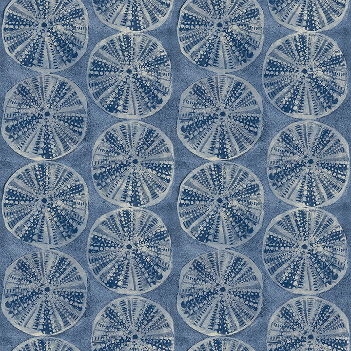 Picture of Sea Biscuit Blue Sand Dollar Wallpaper