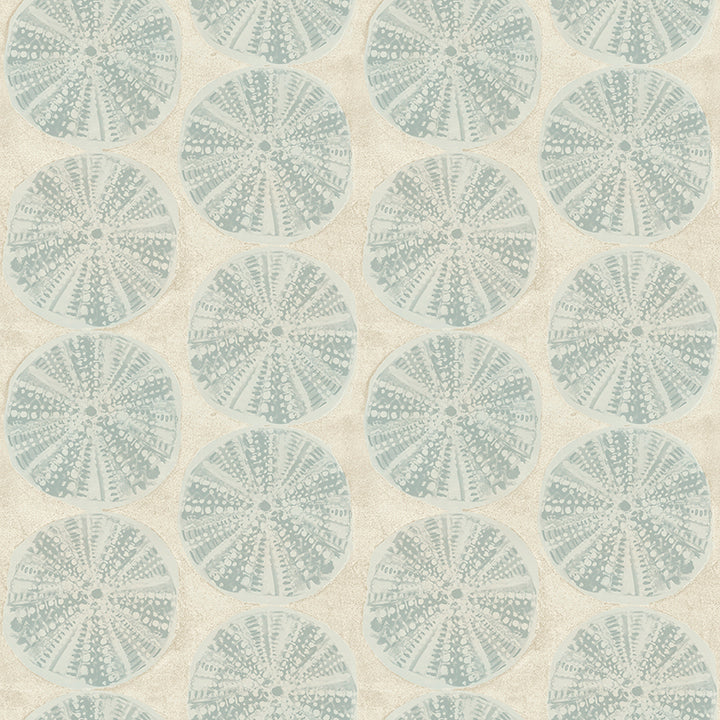 Picture of Sea Biscuit Aqua Sand Dollar Wallpaper