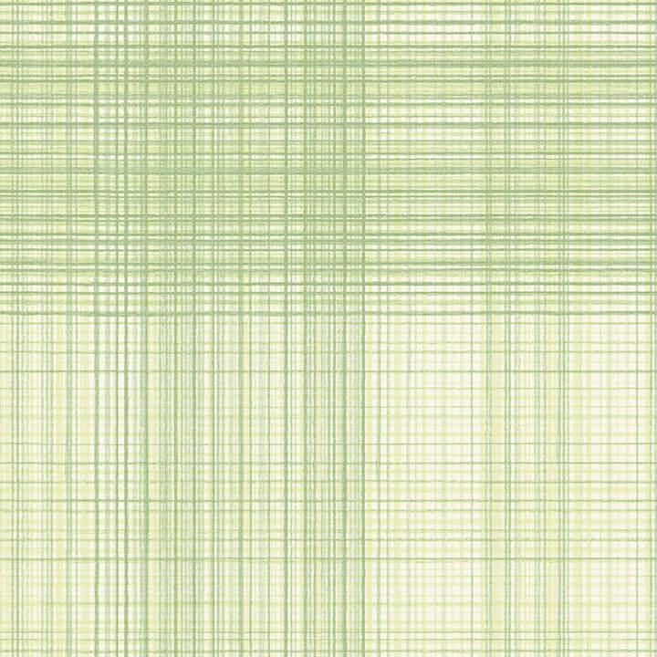 madras-green-plaid-wallpaper-york-wallcoverings-4071-71042 - York Wallcoverings Wallpaper