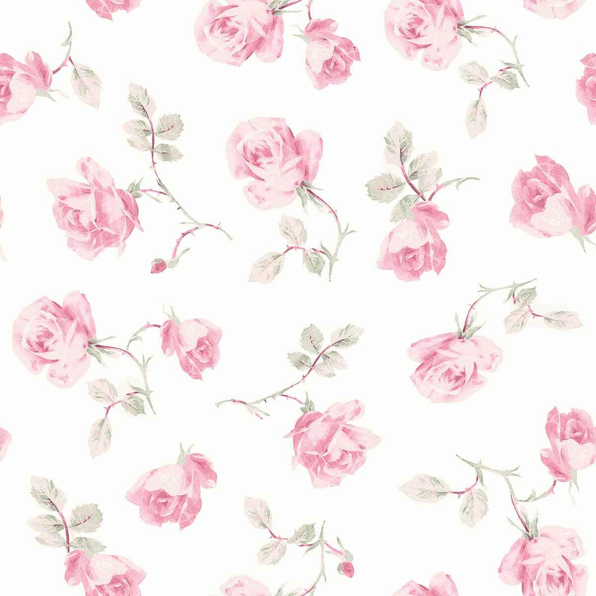 Ribbon Rosa Chateau Rose Loose Roses Wallpaper - York Wallcoverings - AST6084