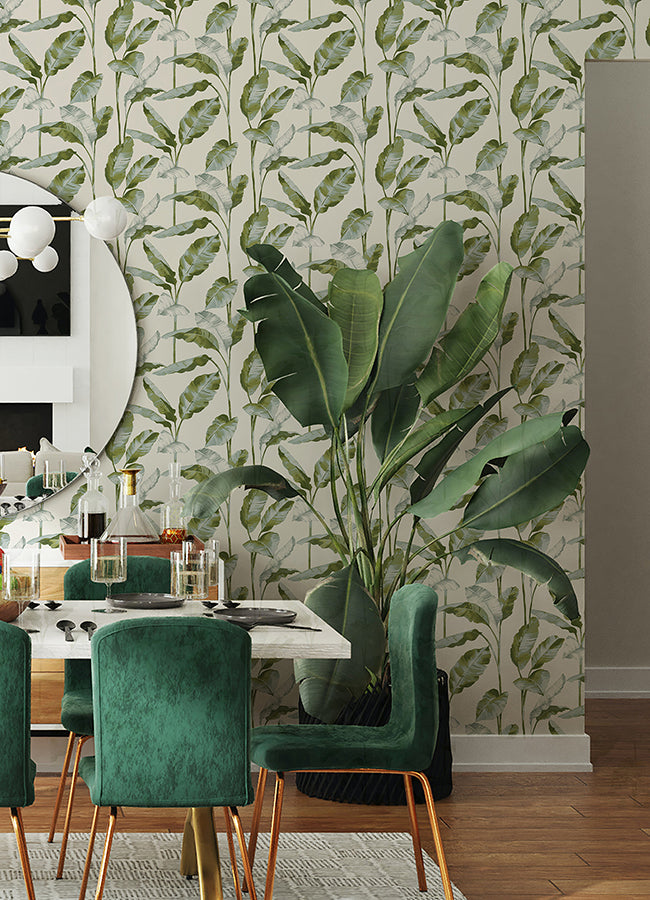 Green Banana Leaf Peel and Stick Wallpaper - Brewster Wallcovering