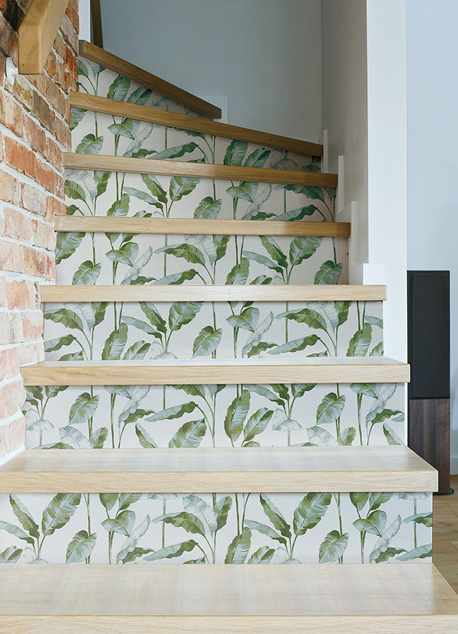 Green Banana Leaf Peel and Stick Wallpaper  | Brewster Wallcovering