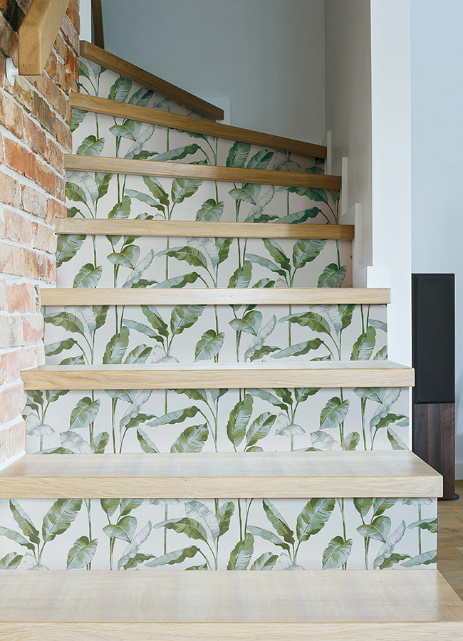 Green Banana Leaf Peel and Stick Wallpaper - Brewster Wallcovering