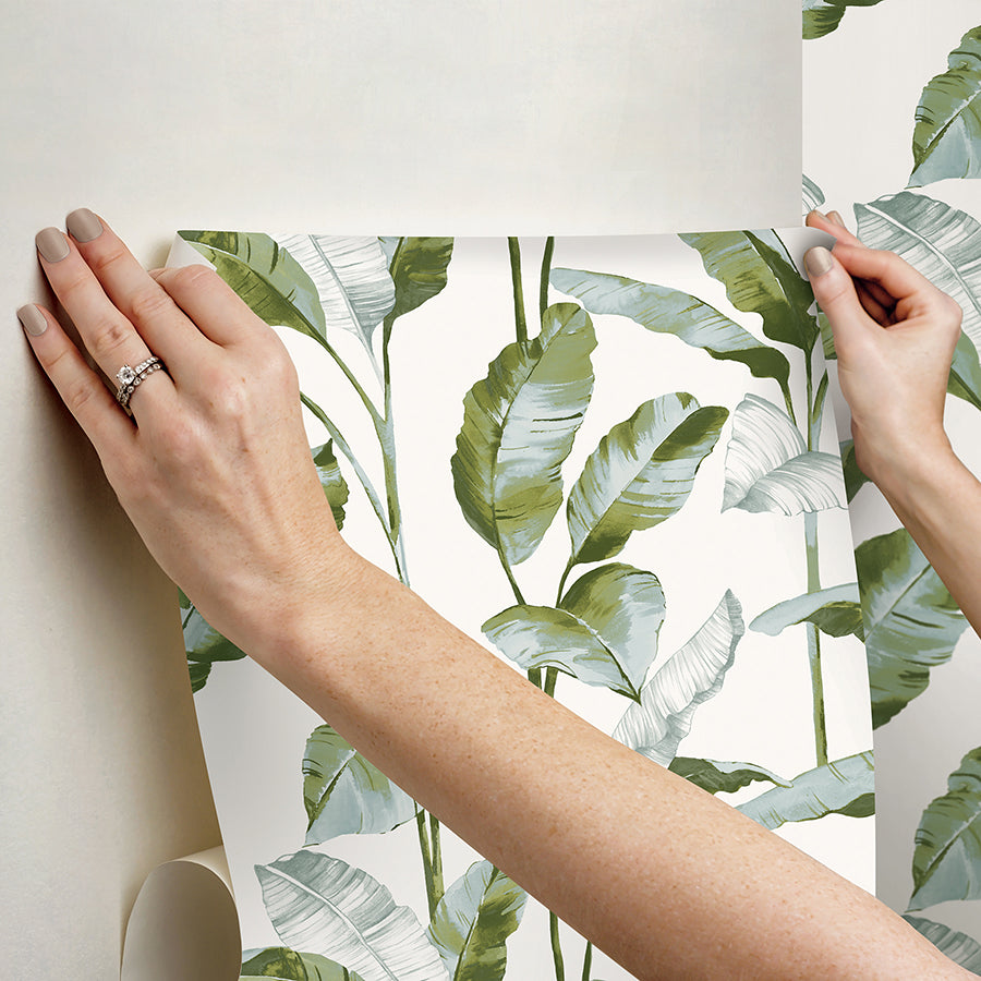 Green Banana Leaf Peel and Stick Wallpaper - Brewster Wallcovering