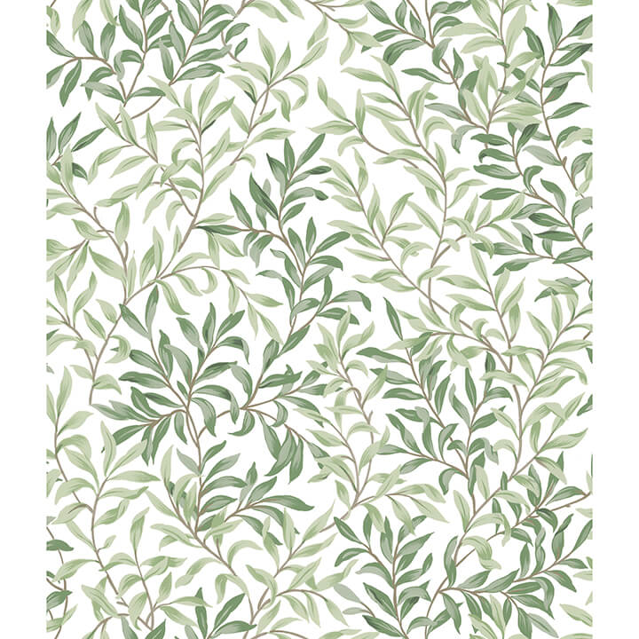 Herb Green Terrace Vines Peel and Stick Wallpaper - York Wallcoverings - NUS6101 - York Wallcoverings Wallpaper