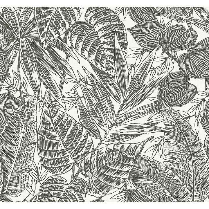 Brentwood Black Palm Leaves Wallpaper - York Wallcoverings - 4034-72115