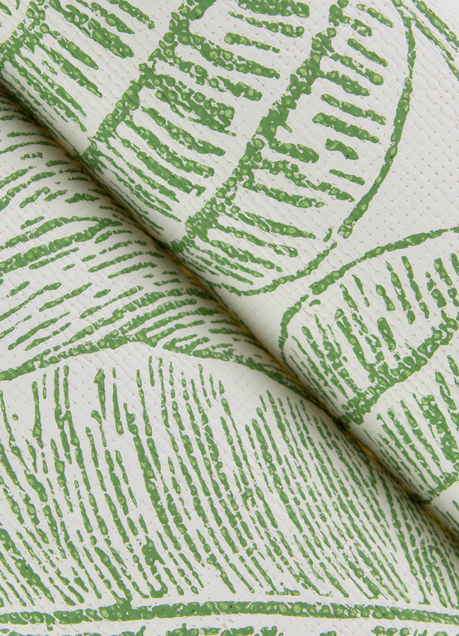 Brentwood Green Palm Leaves Wallpaper by Scott Living  | Brewster Wallcovering - The WorkRm